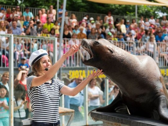  Discover the Joy of Animal Encounters at the Petting Zoo in Miami, FL**