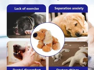  Discover the Best Products for Your Furry Friends at Dee's Pets Inc: A Comprehensive Guide to Pet Care