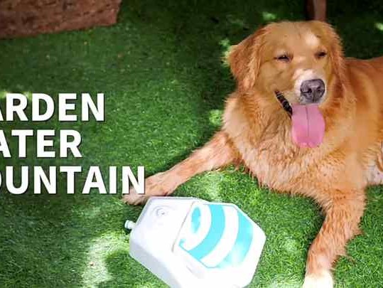  Discover the Benefits of the Rizzari Automatic Pet Waterer: The Ultimate Solution for Your Furry Friends